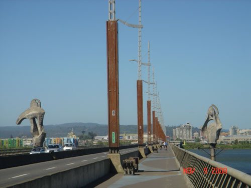 bridge over bio-bio river