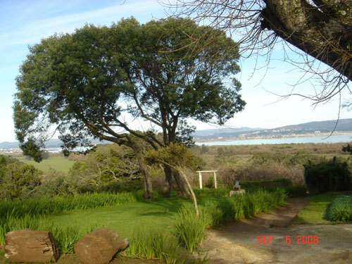 garden at Parque Pedro del Rio Zadartu3