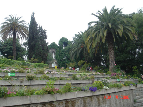 garden at top of cerro