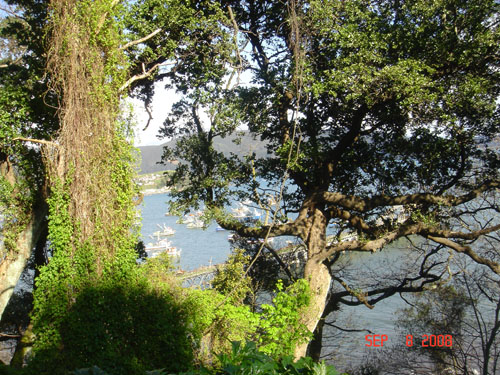 isabel couisno park-lota