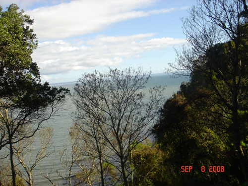 isabel couisno park-lota2