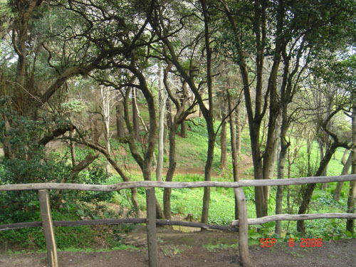 isabel couisno park-lota5