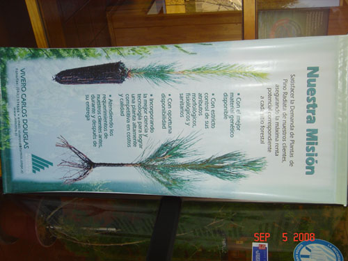 mission of carlos douglas nursery