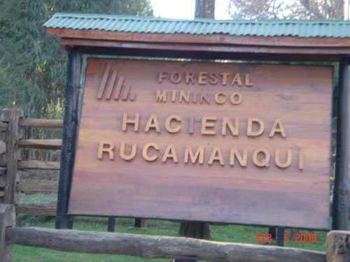 rucamanqui2