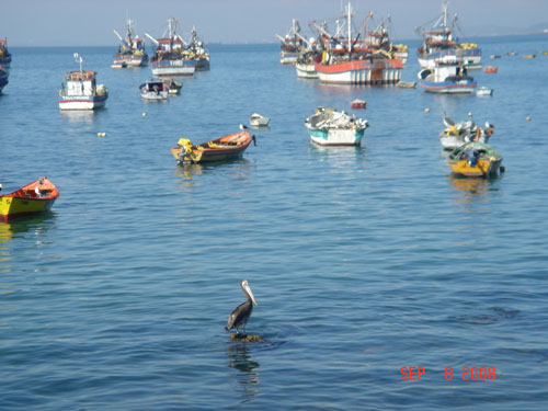 tumbes4