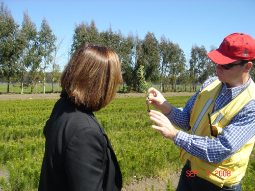 vicki and patricio at carlos douglas nursery3