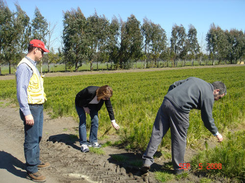 vicki, jean-pierre, and patricio at carlos douglas nursery2