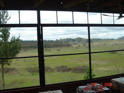 view from window at ginito