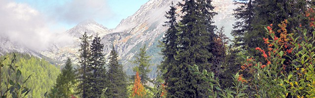 Zvolen, an important rail and road hub, boasts a large timber factory